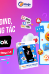 Phần mềm Ninja tiktok chrome