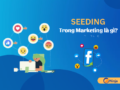 Seeding trong marketing thúc đẩy tiếp cận đông đảo khách hàng