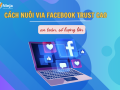 Hướng dẫn cách nuôi via facebook chi tiết